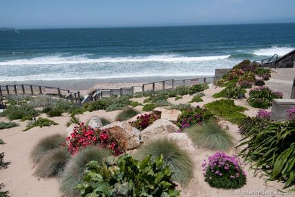 Location - Condo Ocean Harbor 333, Ocean Harbor House