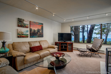 Living Room View