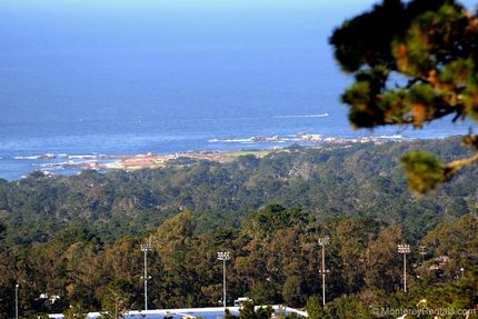 Overview