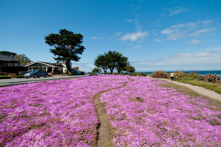 Neighborhood - Oceanview Two, PG Beach Tract
