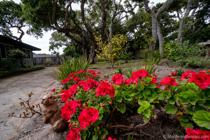 Yard - Hutch's Hideout II, Monterey Peninsula Country Club