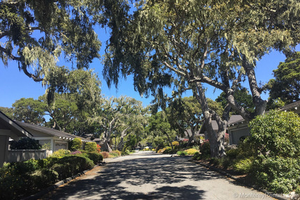 Neighborhood