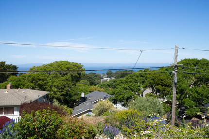Living Room View