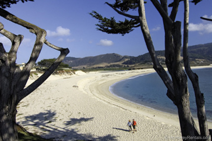Carmel beaches nearby