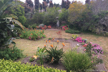Overview